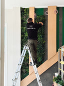 Live Plant Installation