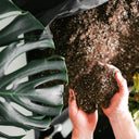 The Ultimate Soil For Indoor Plants